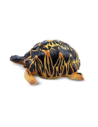 Figurine tortue rayonnée ToyMany