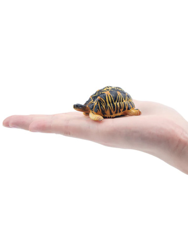 Figurine tortue rayonnée ToyMany