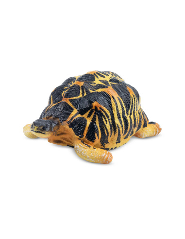 Figurine tortue rayonnée ToyMany