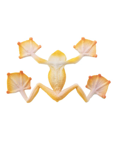 Figurine grenouille volante de Wallace ToyMany