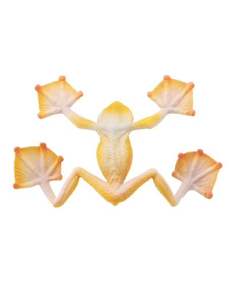Figurine grenouille volante de Wallace ToyMany