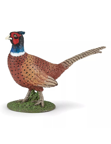 Figurine Faisan Papo 50263 - Collection Vie Sauvage