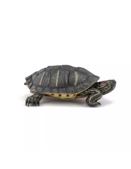 Figurine Tortue Floride Papo 50309 - Reptile Terrestre