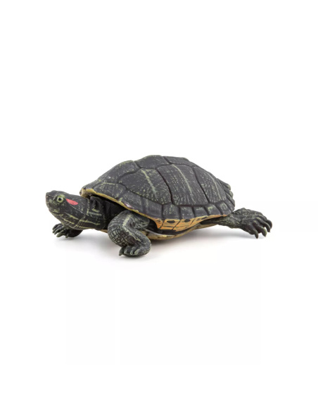 Figurine Tortue Floride Papo 50309 - Reptile Terrestre