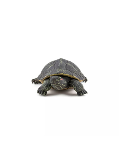 Figurine Tortue Floride Papo 50309 - Reptile Terrestre