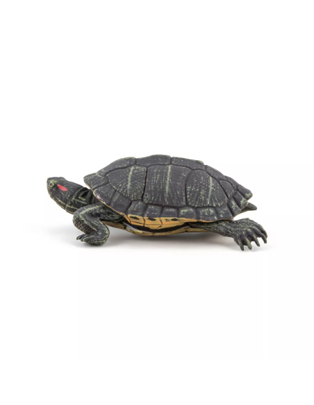 Figurine Tortue Floride Papo 50309 - Reptile Terrestre