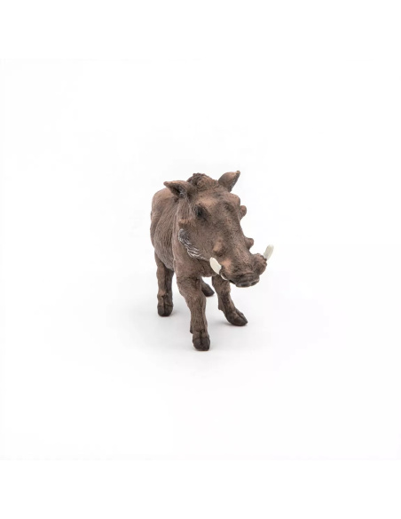 Figurine Phacochère Papo - Suidé Afrique Savane