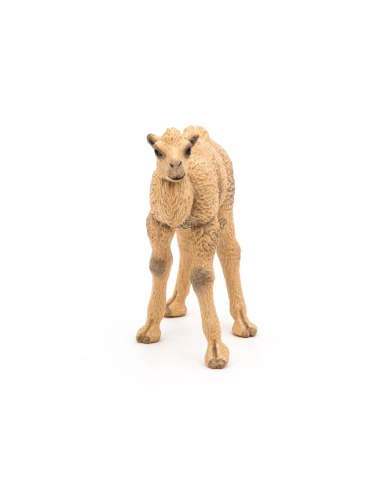 Figurine Bébé Chameau Papo - Chamelon Désert