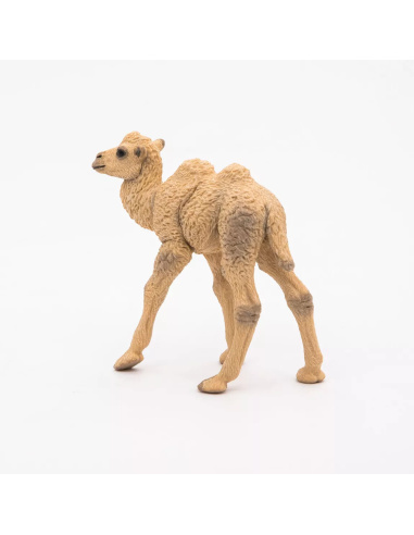 Figurine Bébé Chameau Papo - Chamelon Désert