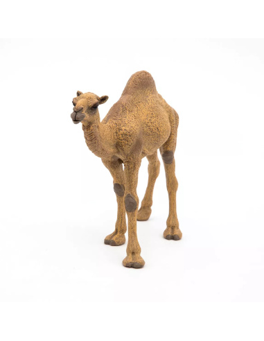 Figurine Dromadaire Papo - Camélidé Désert
