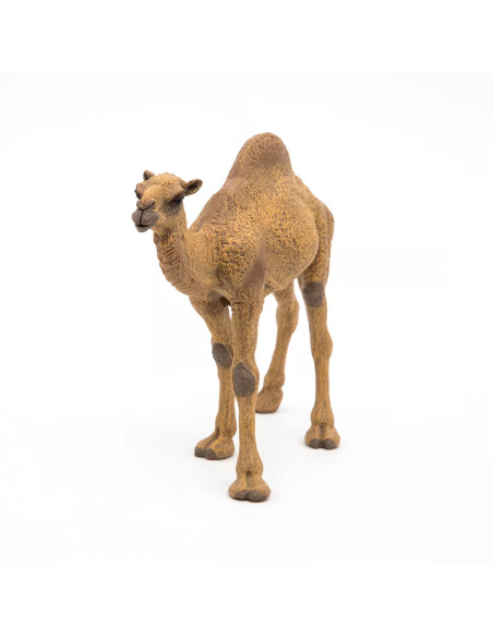 Figurine Dromadaire Papo - Camélidé Désert