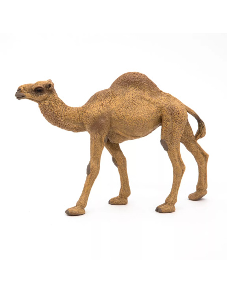 Figurine Dromadaire Papo - Camélidé Désert