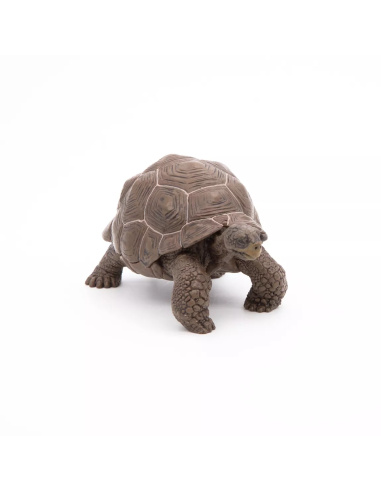 Figurine Tortue Galápagos Papo - Reptile Géant
