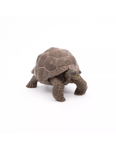Figurine Tortue Galápagos Papo - Reptile Géant
