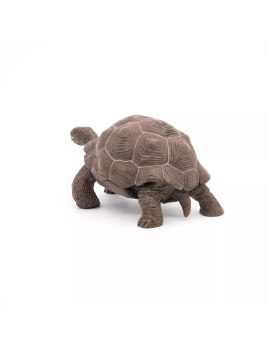 Figurine Tortue Galápagos Papo - Reptile Géant