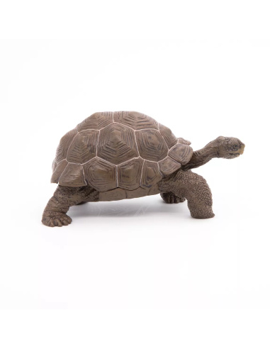 Figurine Tortue Galápagos Papo - Reptile Géant