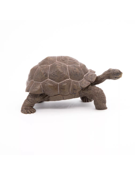 Figurine Tortue Galápagos Papo - Reptile Géant