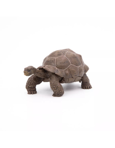 Figurine Tortue Galápagos Papo - Reptile Géant