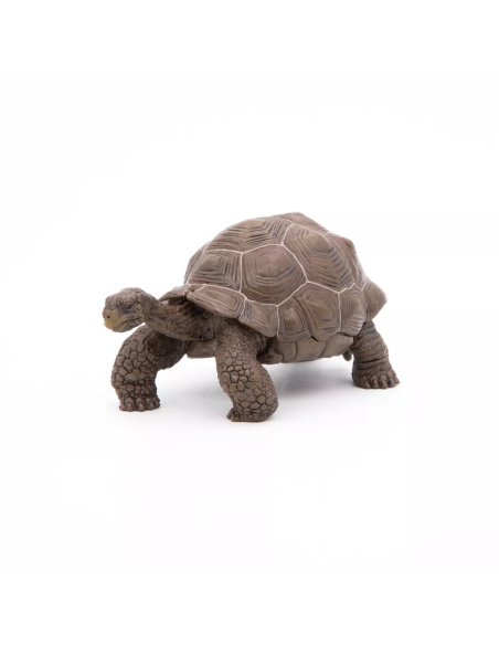 Figurine Tortue Galápagos Papo - Reptile Géant