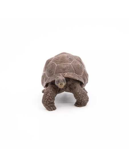 Figurine Tortue Galápagos Papo - Reptile Géant