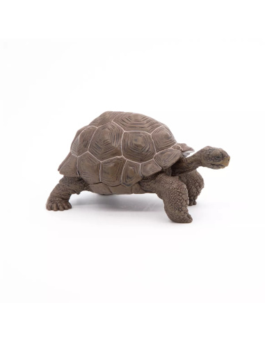 Figurine Tortue Galápagos Papo - Reptile Géant