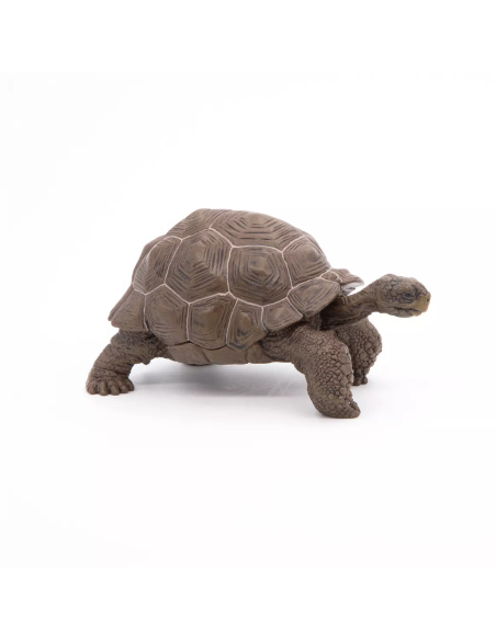 Figurine Tortue Galápagos Papo - Reptile Géant