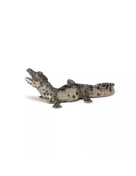 Figurine Bébé Crocodile Papo - Jeune Reptile