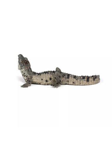 Figurine Bébé Crocodile Papo - Jeune Reptile