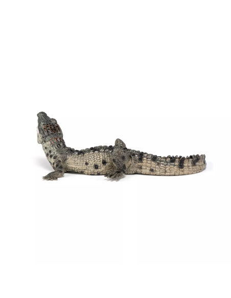 Figurine Bébé Crocodile Papo - Jeune Reptile