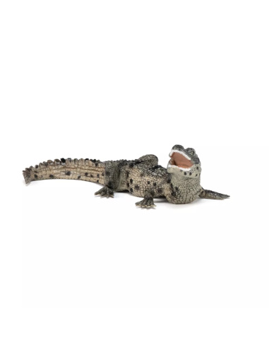 Figurine Bébé Crocodile Papo - Jeune Reptile