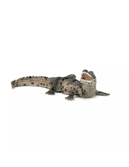 Figurine Bébé Crocodile Papo - Jeune Reptile