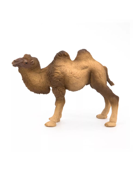 Figurine Chameau Bactriane Papo - Camélidé Asie