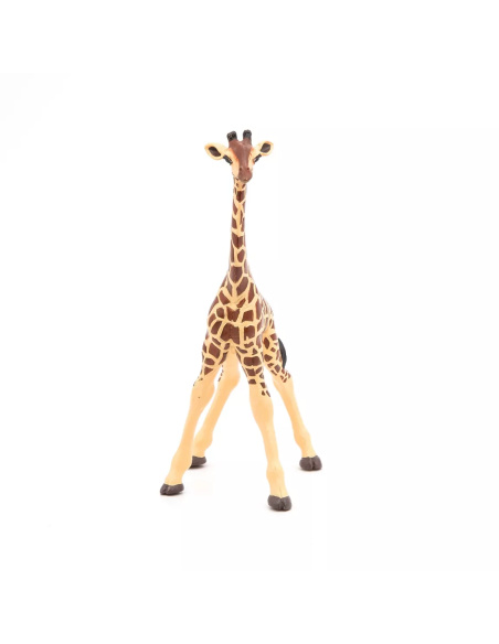 Figurine Girafon Papo - Jeune Girafe