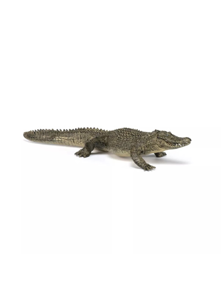 Figurine Alligator Papo - Crocodilien Américain
