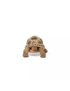 Figurine Tortue Hermann Papo - Chélonien Méditerranéen 2