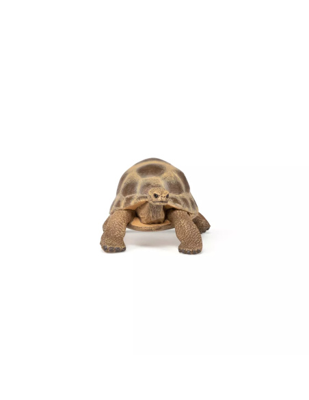 Figurine Tortue Hermann Papo - Chélonien Méditerranéen