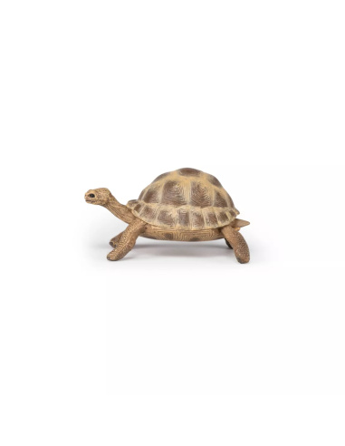 Figurine Tortue Hermann Papo - Chélonien Méditerranéen