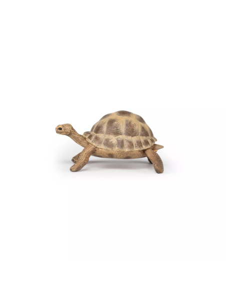 Figurine Tortue Hermann Papo - Chélonien Méditerranéen
