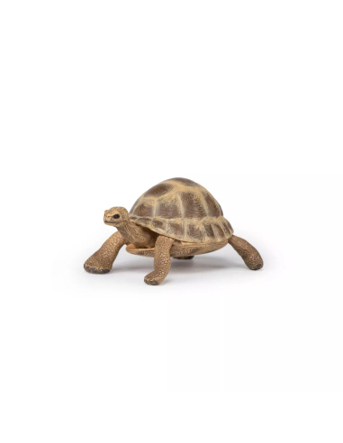 Figurine Tortue Hermann Papo - Chélonien Méditerranéen