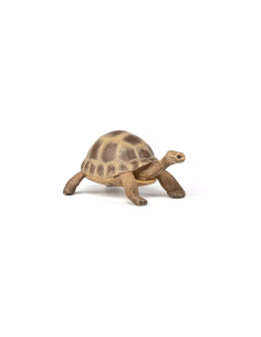 Figurine Tortue Hermann Papo - Chélonien Méditerranéen