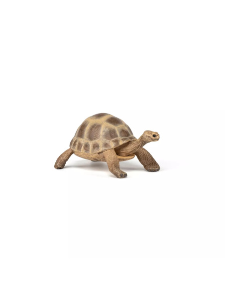 Figurine Tortue Hermann Papo - Chélonien Méditerranéen