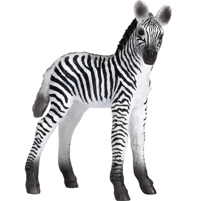Figurine Poulain Zebre Bebe Mojo Materiel Pedagogique Enrichissement Montessori Jouet Cartes Maternelle