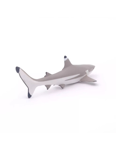 Figurine Requin Pointes Noires Papo - Chondrichtyen Récifal