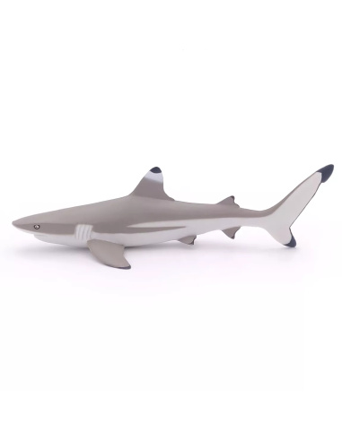 Figurine Requin Pointes Noires Papo - Chondrichtyen Récifal