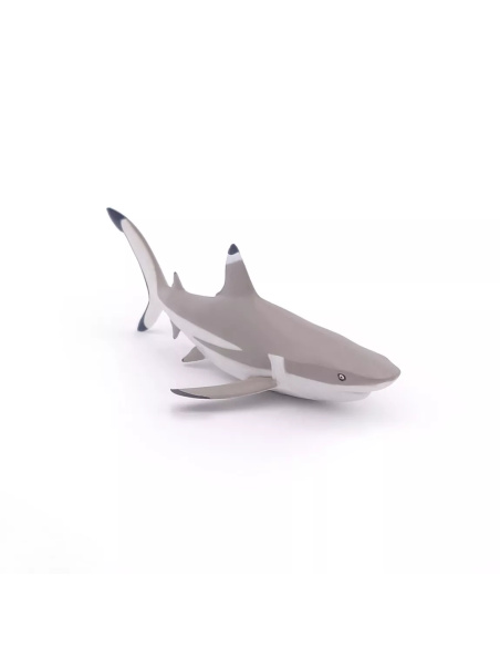 Figurine Requin Pointes Noires Papo - Chondrichtyen Récifal
