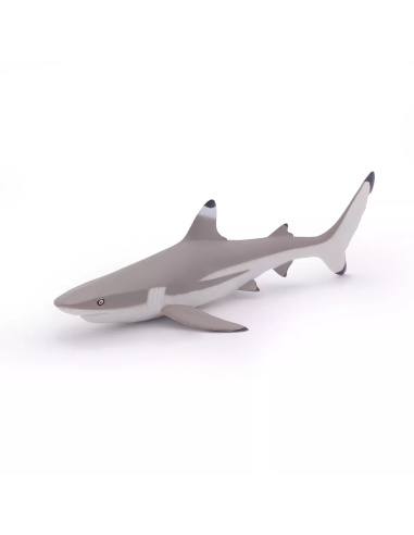 Figurine Requin Pointes Noires Papo - Chondrichtyen Récifal