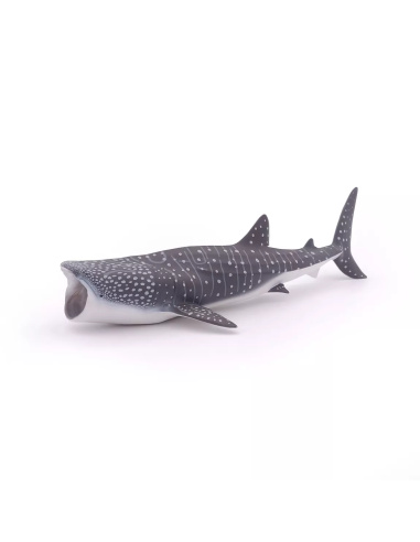 Figurine Requin Baleine Papo - Plus Grand Poisson