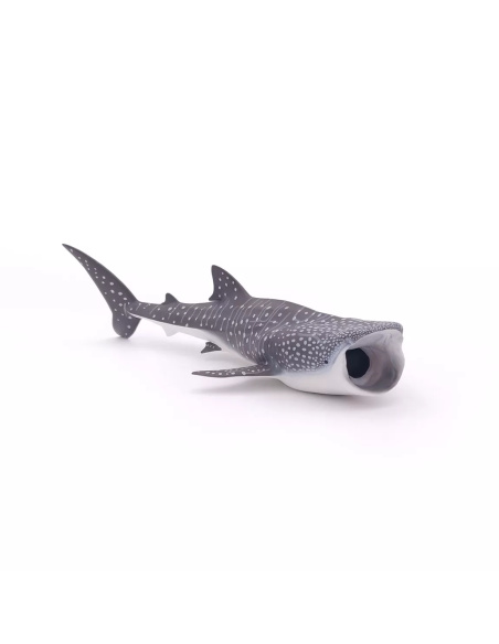 Figurine Requin Baleine Papo - Plus Grand Poisson