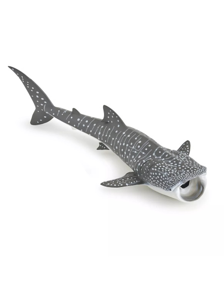 Figurine Requin Baleine Papo - Plus Grand Poisson