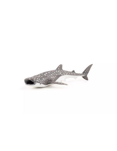 Figurine Jeune Requin Baleine Papo - Chondrichtyen Juvénile